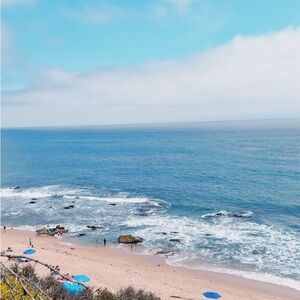 Meet your Posher, Liv